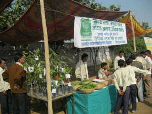 Organization of Agro Fair – Shikohabad