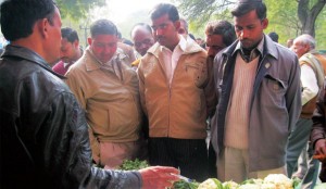 Organization-of-Agro-Fair-Shikohabad