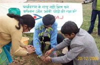 Chandigarh Branch organized a plantation drive