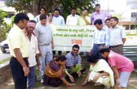 Tree-Plantation-by-Parivars-2006